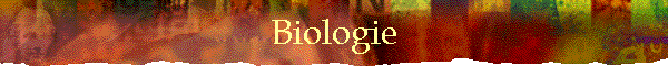 Biologie