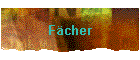 Fcher